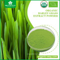 HACCP factory Premium Quality superfood  barley grass powder organic